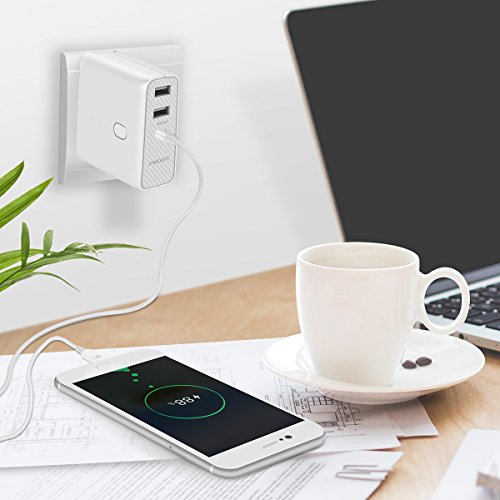 USB C to USB C Cable, Pisen 3.3ft Type C to Type C 3A Fast Charging and Syncing Cable for Samsung Galaxy S9 S8, ChromeBook Pixel, Apple Macbook Pro, Nintendo Switch and More