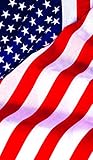 WOWindow Posters Patriotic Old Glory American Flag Window Decoration 34.5