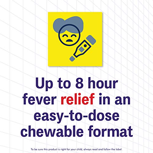 Junior Strength Advil Ibuprofen Tablets USP 100 mg Fruit 40 Chewable