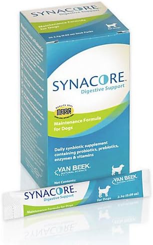 akc cavalier king charles