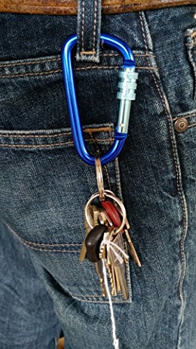 Gold Lion Gear Aluminum Carabiner D Shape Buckle Pack, Keychain Clip, Spring Snap Key Chain Clip Hook Screw Gate Buckle -Pack of Assorted Color Carabiners (Multi-Color, 5 Locking Carabiners)