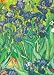 Van Gogh Notebook (Decorative Notebooks) primary