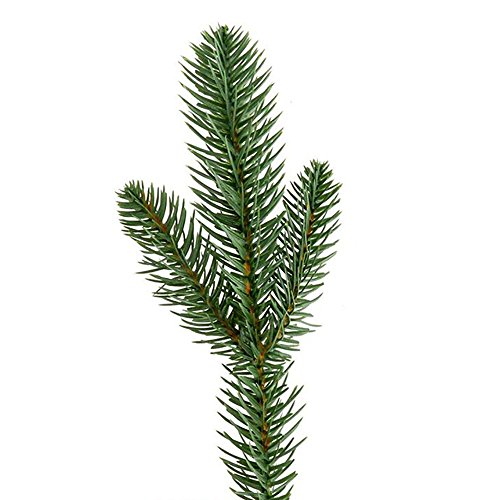 wonuu 25pcs Artificial Pine Green Leaves Needle