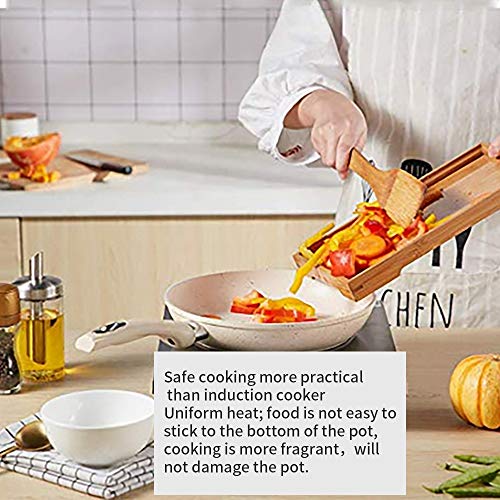 Portable Induction Cooktop induction stove Countertop Burner, 2200 W