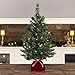 Best Choice Products 26in Multifunctional Cordless Pre-Lit Tabletop Artificial Fir Christmas Tree w/ 35 Warm White and Multicolor LED Lights, 5 Light Functions, Timer, Battery Box, Green