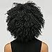 HAIRCUBE Afro Curly Wigs for Black Women Short Kinky Jet Black Heat Resistance Fiber Wigs for Women
