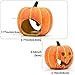 HenryDong Handmade Ceramics Pumpkin Aquarium Décor Ornaments, 3 Pack, 1 Pack, Fish Tank Safe Decorations, Flameer Turtles Hiding Hole Cave, Table Accessories Decor Reptile Box Shelter Habitatthumb 3