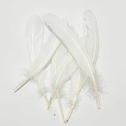 White Goose Feathers Bulk 10pcs,Natural Long 8-10