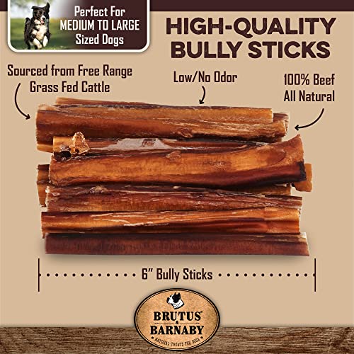 Bully Sticks, All Natural Treat, Low Odor,Long Lasting Beef Rawhide