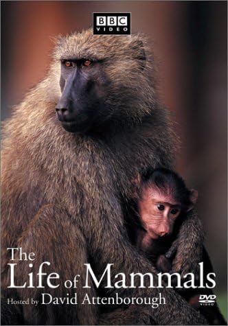 Amazon.com: The Life of Mammals, Vol. 3 : David Attenborough