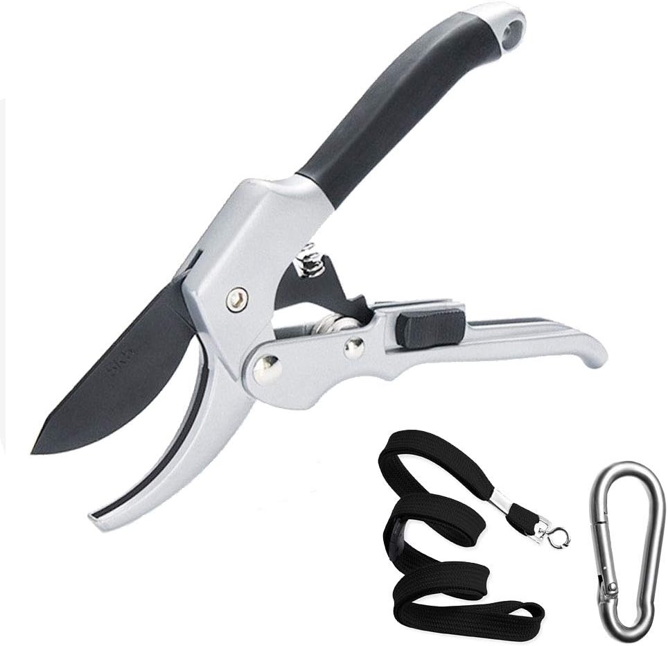 HEMCER Professional Heavy Duty Garden Anvil Pruning Shears, Tree Trimmers Secateurs, Hand Pruner, 8 mm Cutting Capacity with SK-5 Sharp Steel Blade,Sharp Anvil Pruner with Safety Lock, Less Effort.