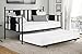 Daybed with Trundle/No Box Spring Required/Premium Sturdy Slats w/Rich Jet Black Finish/Modern Space Saving Design/Day Bed and Roll Out Trundle Accommodate Twin Size Mattress/Ships in 1 Box