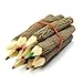 TropicaZona Branch & Twig Graphite Pencils, 10-Pack, Approximately 3.5 Inches Long, Small Size, Fits Nicely in Child's Hand