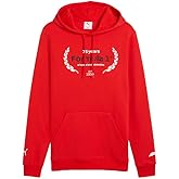 PUMA Mens F1 Essentials Logo Graphic Hoodie Casual Outerwear Casual - Red