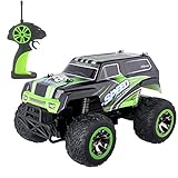 Blexy Remote Control Cars Rock Off-Road Waterproof Vehicle Crawler Truck 2.4Ghz 2WD High Speed RC Cars 1:18 Radio Control Racing Buggy Electric Fast Race Hobby