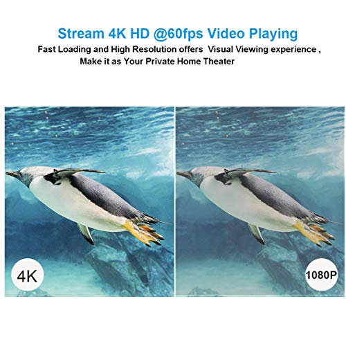 Android 7.1 TV Box,Dolamee 2GB RAM 16GB ROM Mini TV Box Amlogic S905W Quad-Core 64Bit Support 4K Ultra HD/ 3D/ H.265/2.4GHz WiFi/ BT4.0 Media Player
