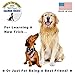 Premium Salmon Dog Treats Made in USA Only - One Ingredient: Wild Caught American Salmon - Freeze Dried, Human Grade - No Additives or Preservatives - Grain Free - Purr-fect Healthy Cat Snack too