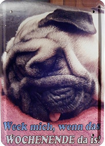 Tin Sign with Dog Pug 15 x 21 cm Sleeping Funny MJ 150