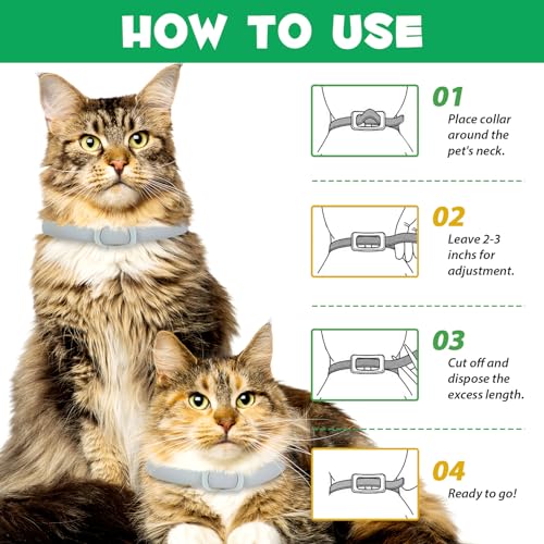 Collar for Cats, 4 Pack Collar for Kittens & Adult Cats, Adjustable & Waterproof Design (Grey)