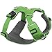 Ruffwear, Front Range Dog Harness, Reflective Soft Padded Everyday Harness with Dual Leash Clips, Adjustable and Lightweight Fit for Training or Walking for All Dogs, Meadow Green, Large/X-Large
