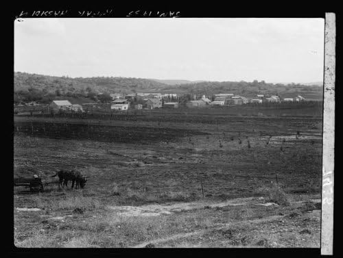 Photographs - Historic Photographs, LLC Photo: Jewish Colonies. K'far Hassidim