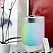 SpaRoom AromaDelight Ultrasonic Essential Oil Diffuser and Fragrance Cool Mister With Remote Control and LED Light Show