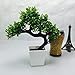 Party Tonight Artificial Japanese Zen Bonsai Tree Home Planet with Pot. Perfect for a Desk, Table, Office, Home Or Shelf Decoration