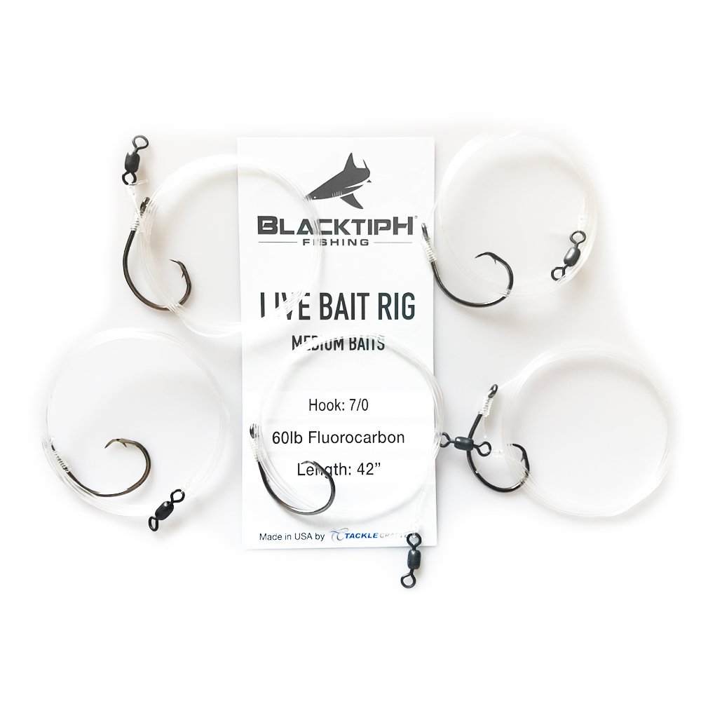 blacktiph fishing gear