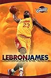 LeBron James - Cleveland Cavaliers 2014 NBA 24