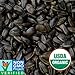 Wild Wings Organic Black Oil Sunflower Seeds 5lb