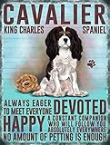 Cavalier King Charles Spaniel small steel sign 8