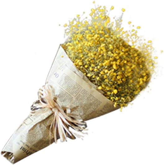 WDOIT 1pcs Natural Dried Flower Gypsophila Bouquet, For DIY Home Garden Home Wedding Party Decoration