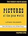 Pictures of the Gone World (City Lights Pocket Poets Series)