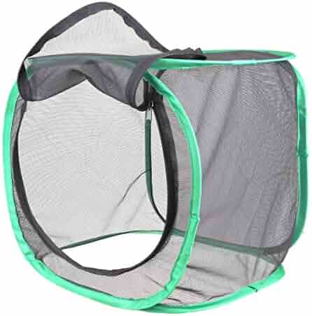 Coopay Collapsible Insect And Butterfly Habitat Cage Terrarium Pop Up White Butterfly Net For Raising And