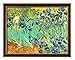 Diy oil painting, paint by number kit- worldwide famous oil painting Irises by Van Gogh 16 * 20 inch.