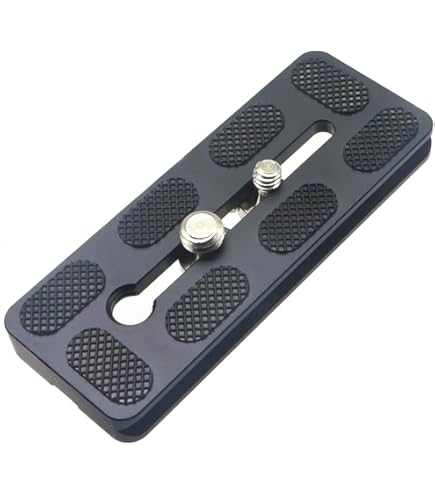 Amazon.com : Sunwayfoto DP-60R 60mm QR Plate w 1/4