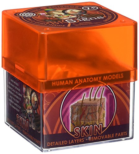 Bio Signs Human Anatomy - Skin