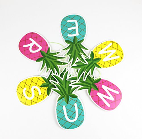 SUNBEAUTY 1.5m Colorful Summer Pineapple Banner Luau Tiki Party Supplies Hawaiian Theme Decor