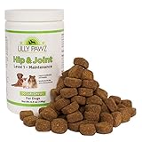 Advanced Hip and Joint Supplement for Dogs - Level 1 Maintenance all Natural 500mg Glucosamine Chondroitin, Yucca Schidigera, Omega 3 and 6, Vitamins C and E 90 Chews - Made in USA