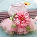 PanDaDa Dog Daisy Gauze Tutu Dress Skirt Pet Dog Cat Princess Clothes Bowknot Dress M