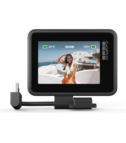 Amazon.com : GoPro HERO8 Black Camera Mountable Media Mod with 