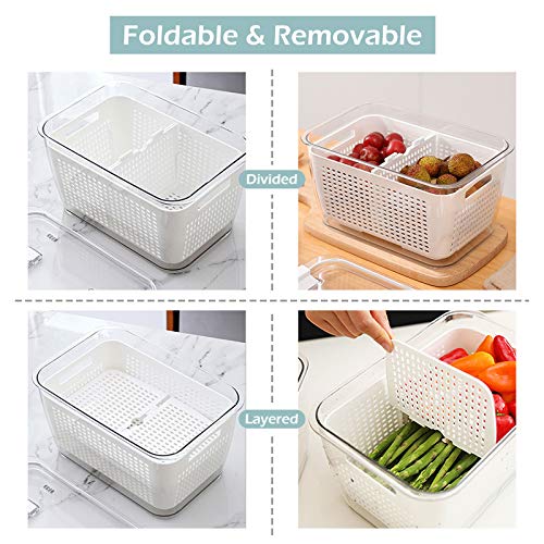 elabo Food Storage Containers Fridge Produce Saver Stackable