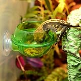 EONMIR Suction Cup Feeder, Reptiles Ledge Accessories Supplies for Gecko, Chameleon
