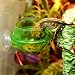 EONMIR Suction Cup Feeder, Reptiles Ledge Accessories Supplies for Gecko, Chameleon