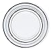 Disposable Plastic Plates - 120 Pack - 60 x 10.25
