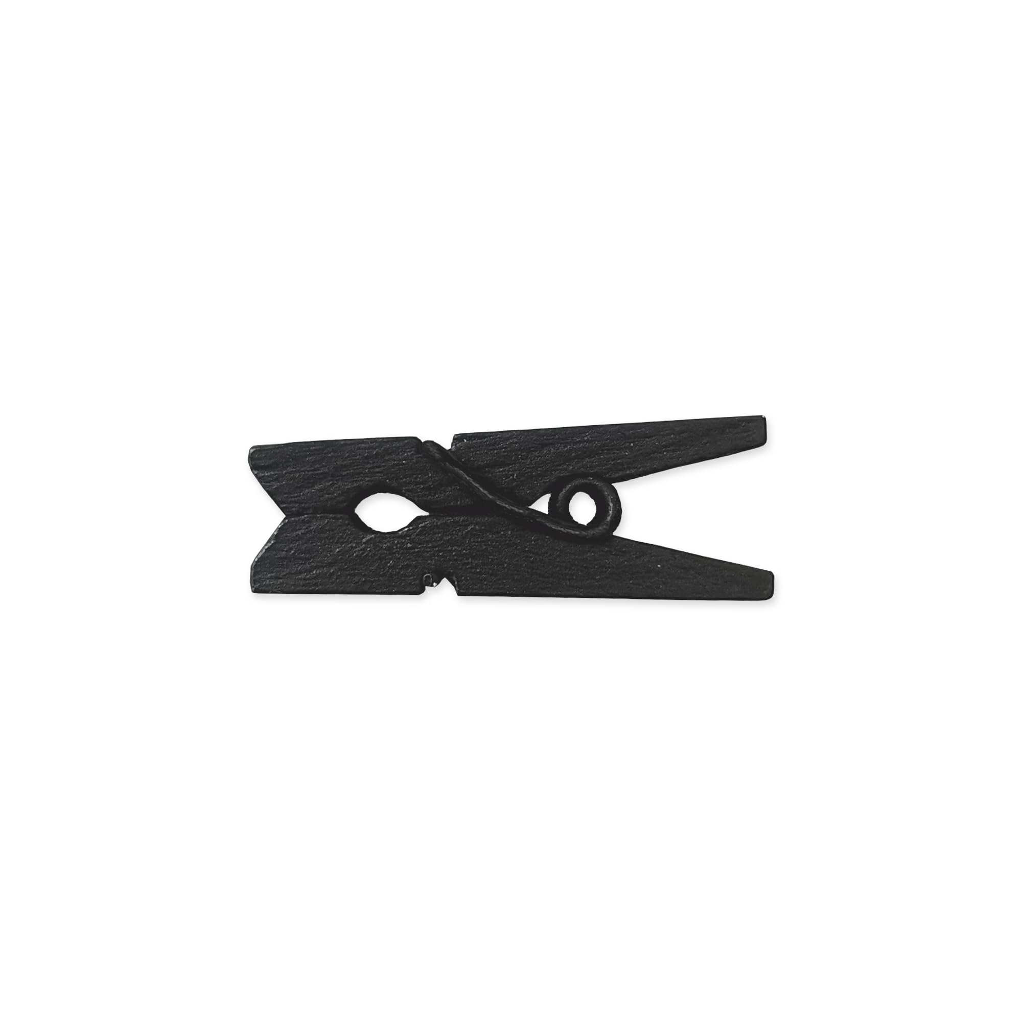 Photo 1 of LWR CRAFTS Wooden Mini Clothespins 100 Per Pack 1" 2.5cm (Black)