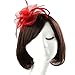 Acecharming Fascinators Hat Flower Sinamay Feather Headband Cocktail Tea Party Headwear Hat Girls and Women