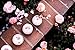 Bloom Bath Bombs Set - Pack of 6 Luxurious Herbal Bath Fizzies - Artisan, Handmade, Spa Experience - with Natural Oils and Butters