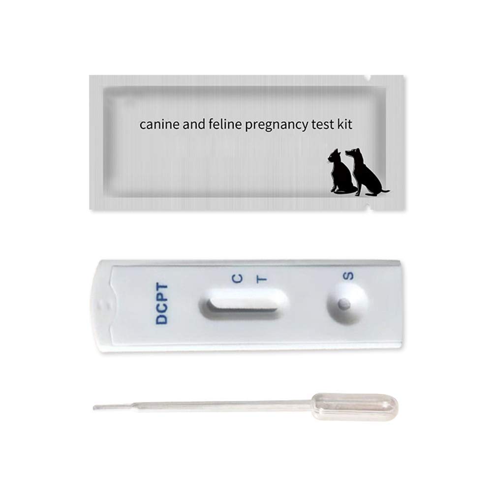 Pet Pregnancy Test Kit Test Strips Reliable And Quick Early Detection Of Pregnancy Dog Early Pregnancy Tests Cat Pregnancy Test Kit Buy Online In Latvia At Latvia Desertcart Com Productid 172124735