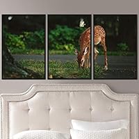 3 Piece Framed Canvas Wall Art Deer in The Wild Animals Deer Canvas Prints Home Artwork Decoration for Living Room,Bedroom - 16